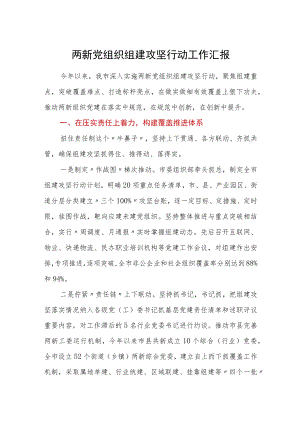 两新党组织组建攻坚行动工作汇报.docx