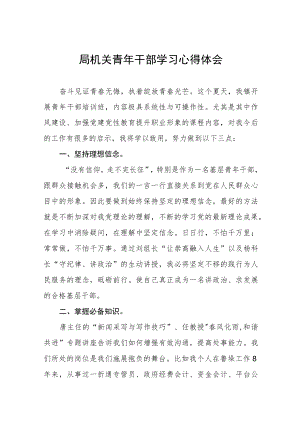 2022年年轻干部理论学习心得体会五篇范例合集.docx