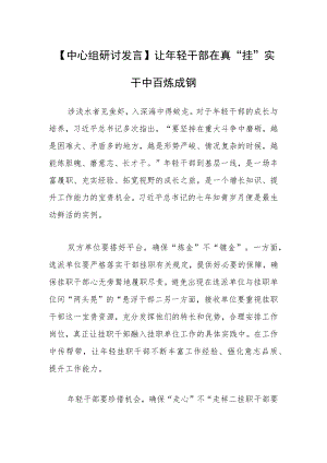 【中心组研讨发言】让年轻干部在真“挂”实干中百炼成钢.docx