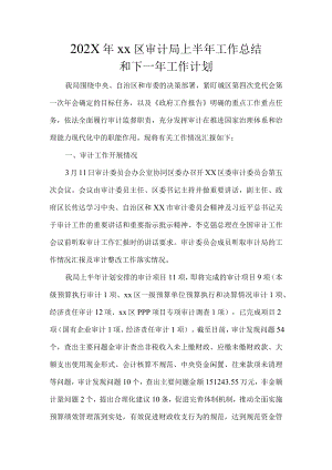 XX县审计局2022年度工作总结及2023年工作计划.docx