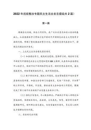 2022年巡视整改专题民主生活会发言提纲（共2篇）.docx