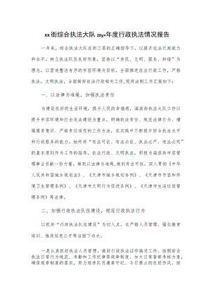 xx街综合执法大队20xx年度行政执法情况报告.docx