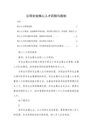 公司企业核心人才识别与规划.docx