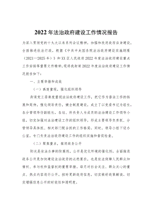 2022年法治政府建设工作情况报告.docx