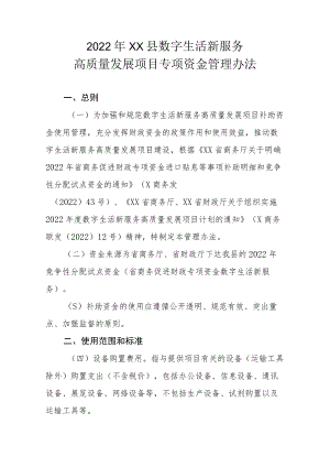 2022年XX县数字生活新服务高质量发展项目专项资金管理办法.docx
