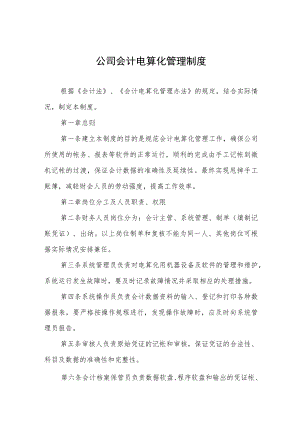 公司会计电算化管理制度.docx