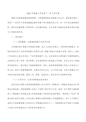 2022年档案工作总结下一步工作打算.docx