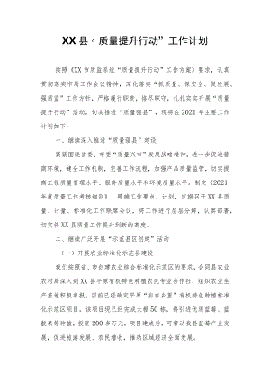 XX县“质量提升行动”工作计划.docx