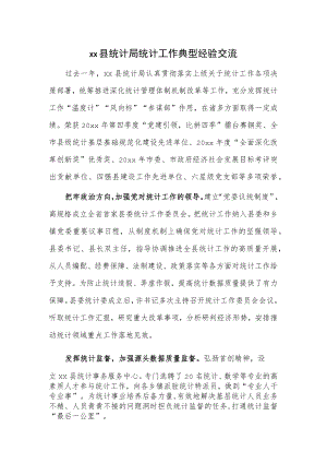 xx县统计局统计工作典型经验交流.docx
