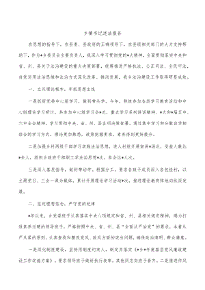 乡镇书记述法报告.docx