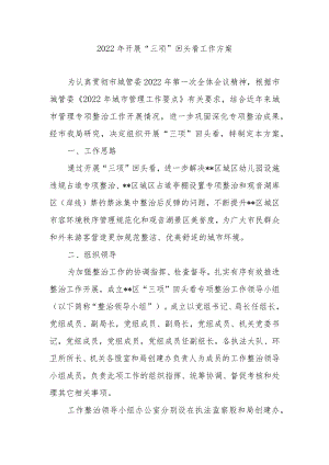 2022年开展“三项”回头看工作方案.docx