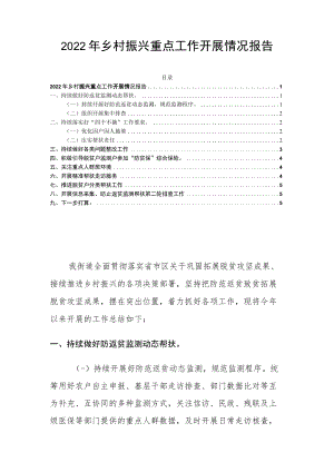 2022年乡村振兴重点工作开展情况报告.docx
