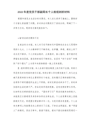 2022年度党员干部副局长个人检视剖析材料.docx