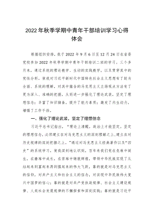 2022年优秀年轻干部培训班学习心得体会感悟五篇例文.docx