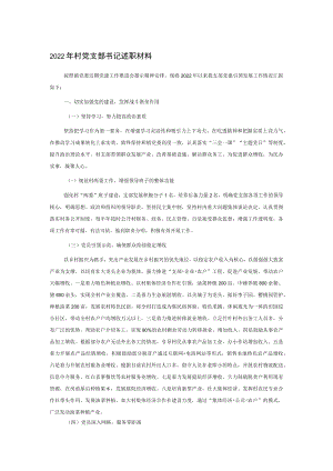 2022年村党支部书记述职材料.docx