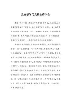 党支部学习党章心得体会四篇.docx