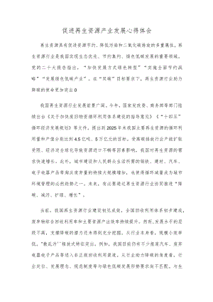 促进再生资源产业发展心得体会.docx
