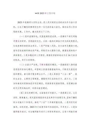 乡、街道2023年工作计划2篇.docx
