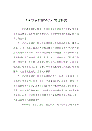 XX镇农村集体资产管理制度.docx