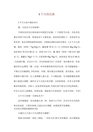 5个月的比熊.docx