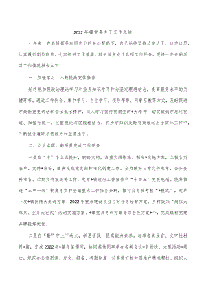 2022年镇党务专干工作总结.docx