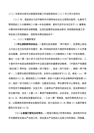 2022年度党支部书记抓基层党建工作述职报告和2023年工作计划.docx