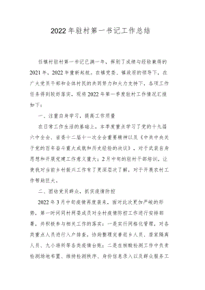 2022年驻村第一书记工作总结.docx