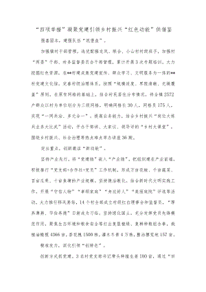 “四项举措”凝聚党建引领乡村振兴“红色动能”供借鉴.docx