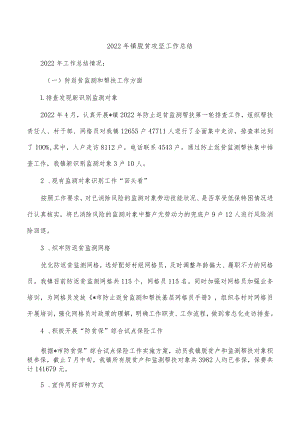 2022年镇脱贫攻坚工作总结.docx