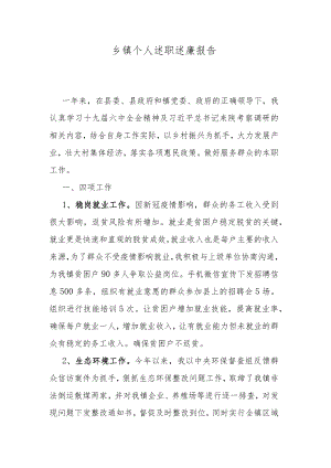 乡镇个人述职述廉报告.docx