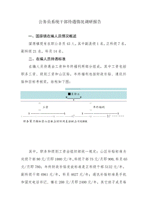 公务员系统干部待遇情况调研报告.docx