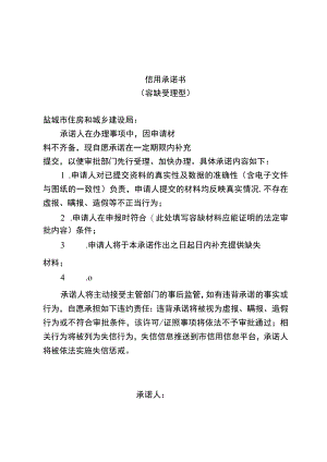 《信用承诺书（容缺受理型）》参考格式文本.docx