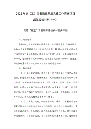 2022年党（工）委书记抓基层党建工作突破项目成效经验材料（一）.docx