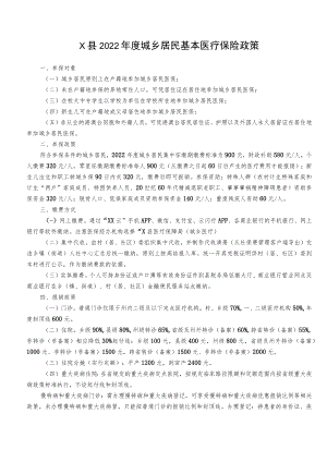 X县2022年度城乡居民基本医疗保险政策.docx