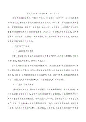 乡镇2022年工作总结2023年工作计划.docx