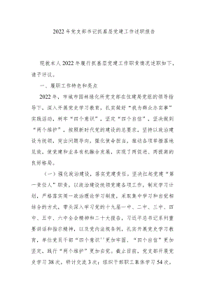 2022年党支部书记抓基层党建工作述职报告.docx