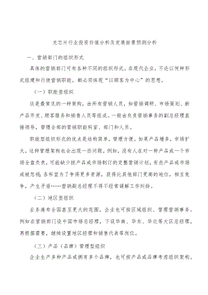 光芯片行业投资价值分析及发展前景预测分析.docx