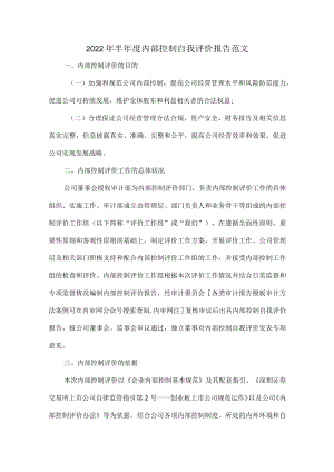 2022年半年度内部控制自我评价报告范文.docx