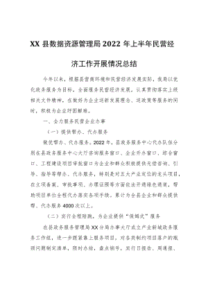 XX县数据资源管理局2022年上半年民营经济工作开展情况总结.docx