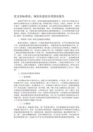 党支部标准化、规范化建设自查情况报告.docx
