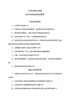 XX医药职业学院审计处组织结构和职责.docx