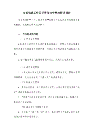 2022党支部党建工作目标责任检查整改情况报告.docx