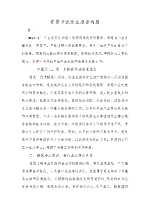 党委书记述法报告两篇.docx