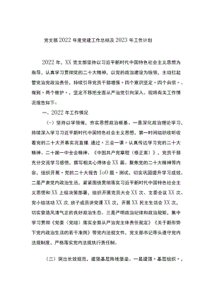 党支部2022年度党建工作总结及2023年工作计划.docx