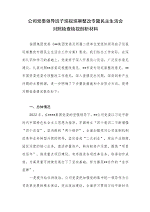 2022-2023年国企公司党委领导班子巡视巡察整改专题民主生活会对照检查检视剖析材料.docx