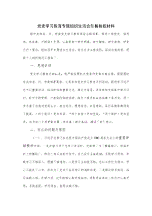 党史学习教育专题组织生活会剖析检视材料.docx