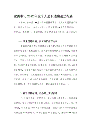 党委书记2022年度个人述职述廉述法报告.docx