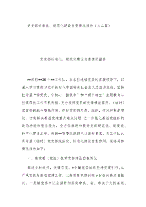 党支部标准化、规范化建设自查情况报告（共二篇）.docx