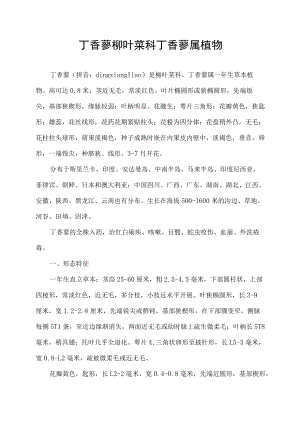 丁香蓼 柳叶菜科丁香蓼属植物.docx