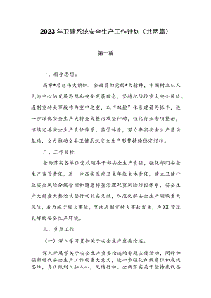 2023年卫健系统安全生产工作计划（共两篇）.docx